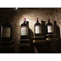 Zandvliet Wines image